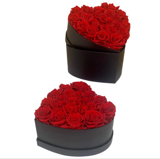 Eternity Dozen Red Rose Heartbox (Black)