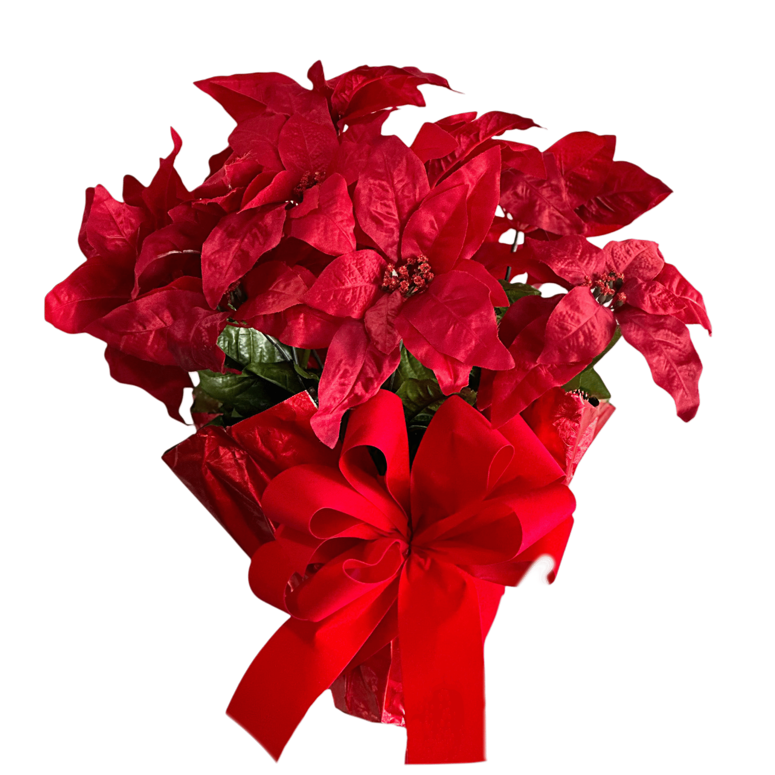 Holiday Red Poinsettia (Silk)