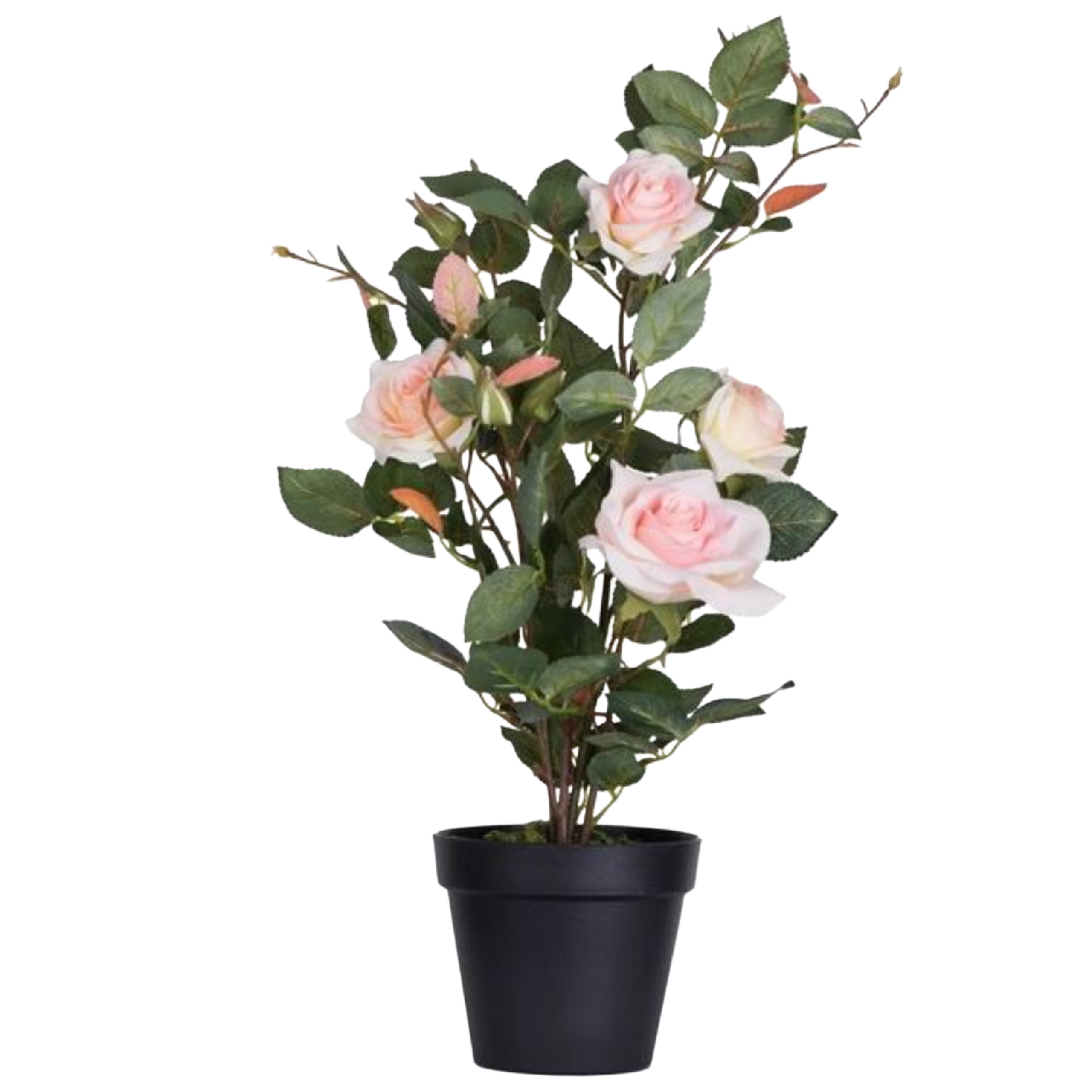 Love My Rosey (Silk) - Pink