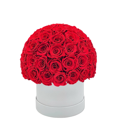 The Deluxe Rose Dome