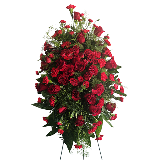 Brilliantly Red Spray