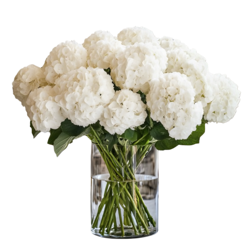 White Hydrangea Clouds