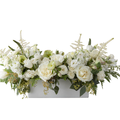 Wintry Whites & Cashmere