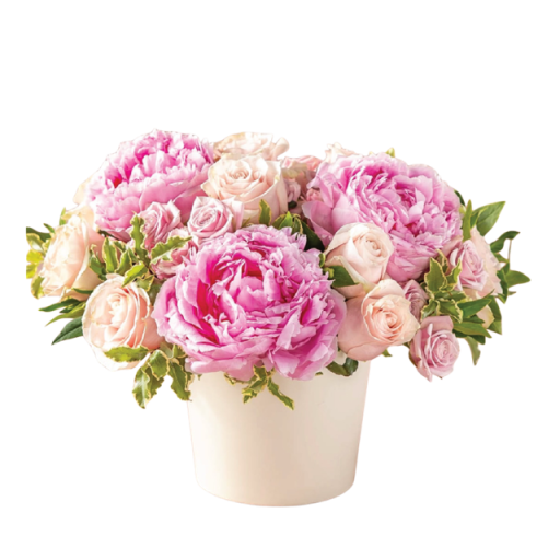 Peony Beauty (Limited Edition)