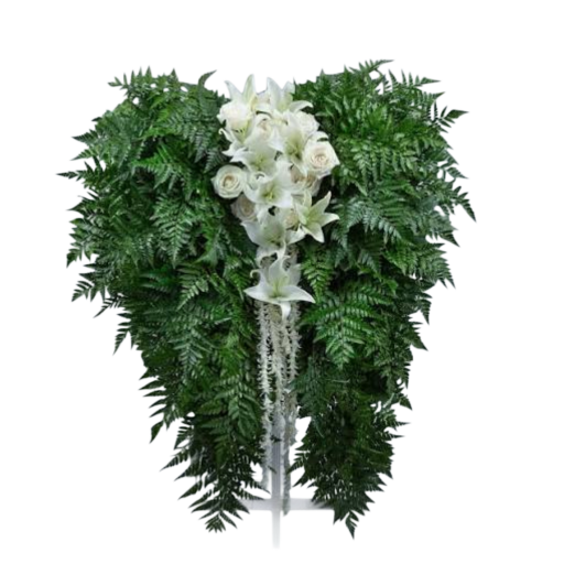 Serene Angel Wings Tribute