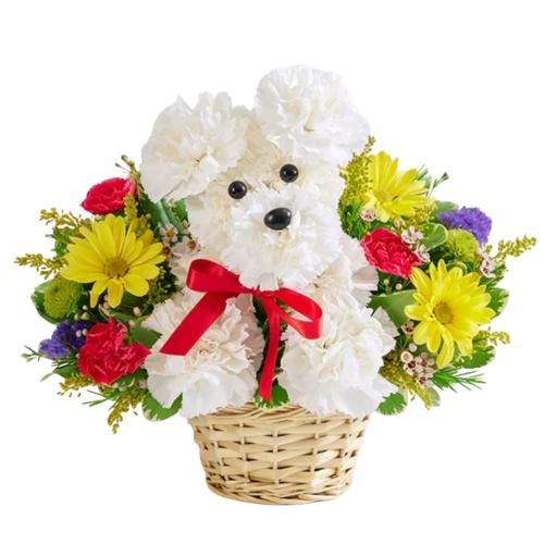 Puppy Adorable