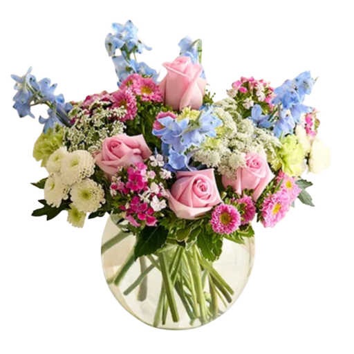 Delphinium Garden